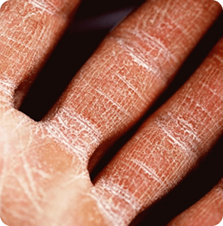 Anti-Aging & Skin Health